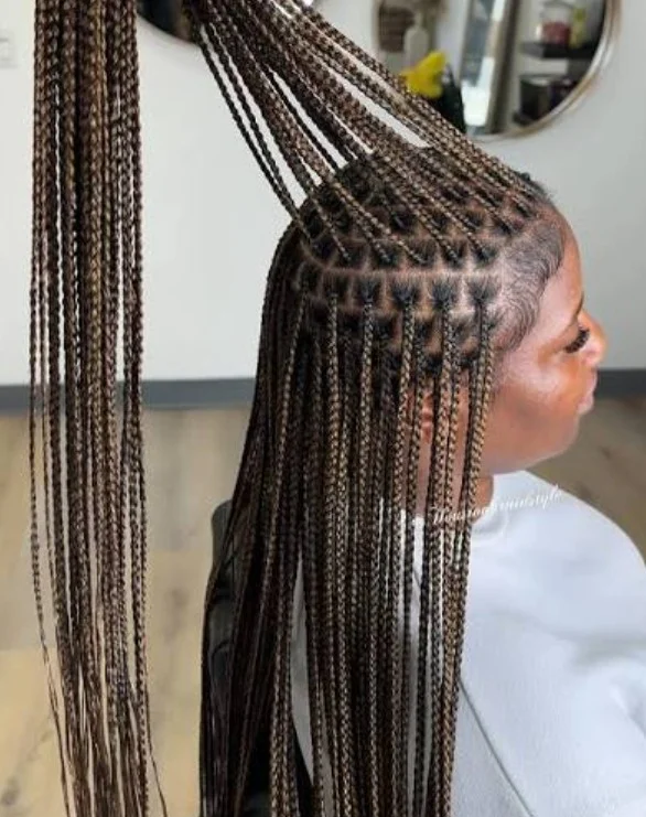 Regular Knotless Braids