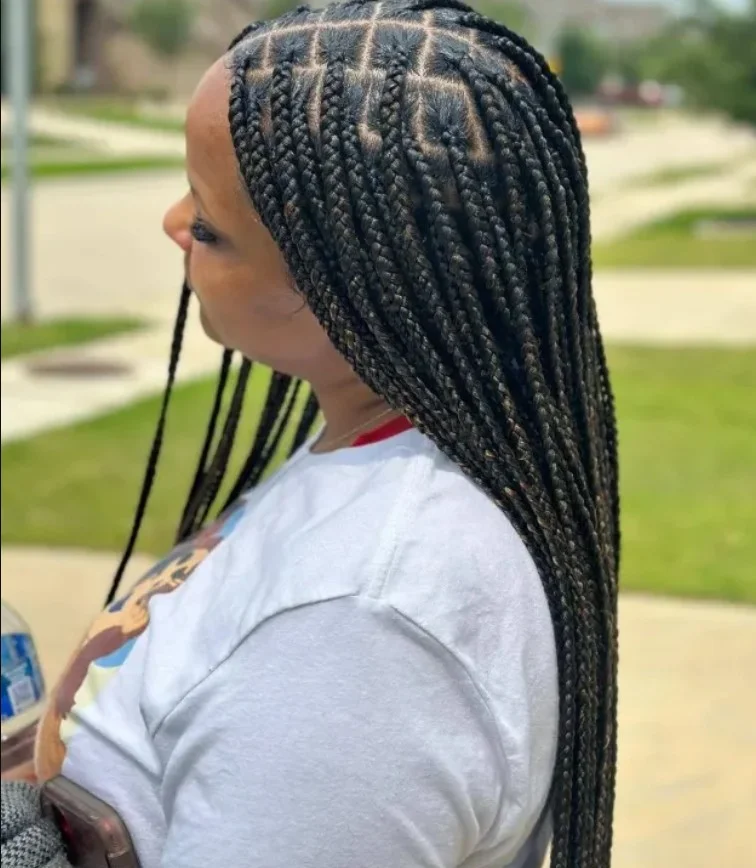 Regular Knotless Braids D